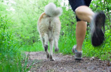 Five Reasons to Run With Your Furry Friend