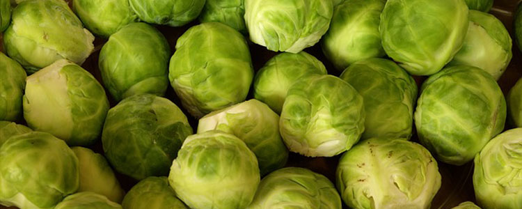 brussels-sprouts-463378_640