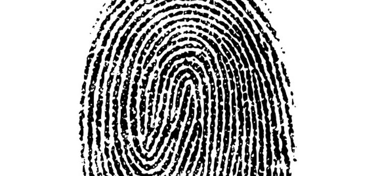 fingerprint-1382652_960_720