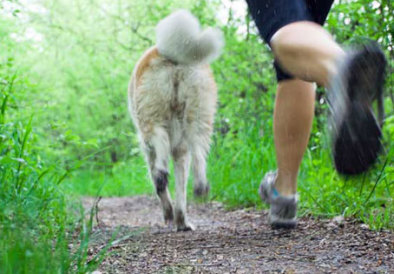 Five Reasons to Run With Your Furry Friend