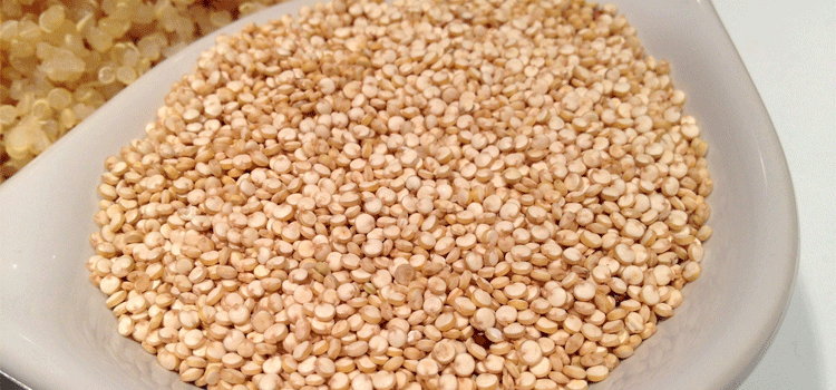 quinoa-405538