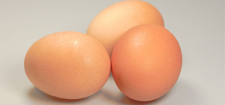 eggs-541763_1280