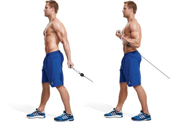 1.-behind-the-back-cable-curl-20-best-forearm-exercises