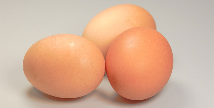 eggs