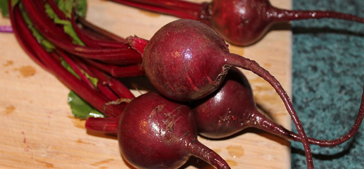 beets