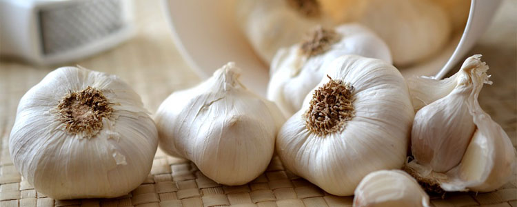 garlic