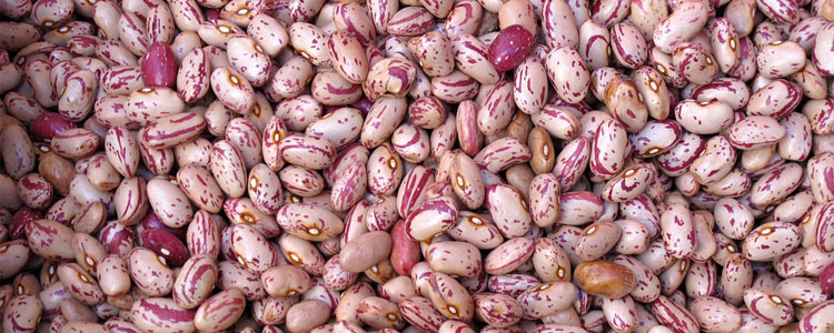 legumes