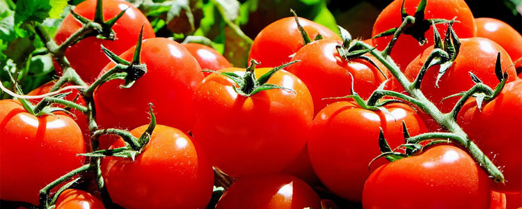 tomatoes-1280859_960_720