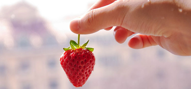 strawberry-1365716_960_720