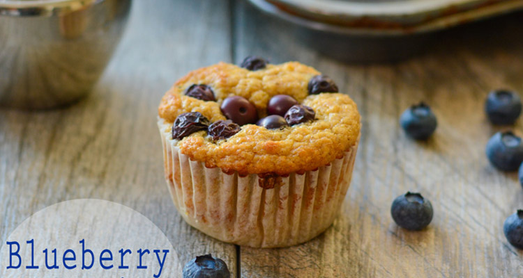 Blueberry-Protein-Muffins-copy-1024x1024